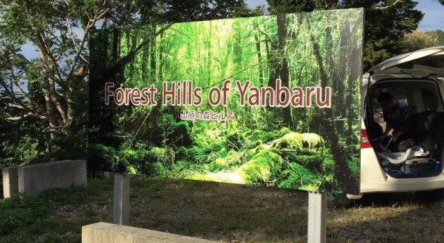 Апартаменты Yanbaru Forest Hills