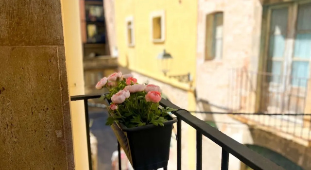 Апартаменты Unik Vacation Ripoll