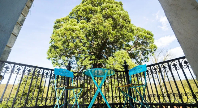 Номер Classic Schloss Kaarz mit Park