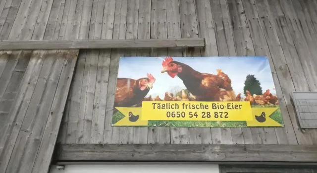 Haus Falkner