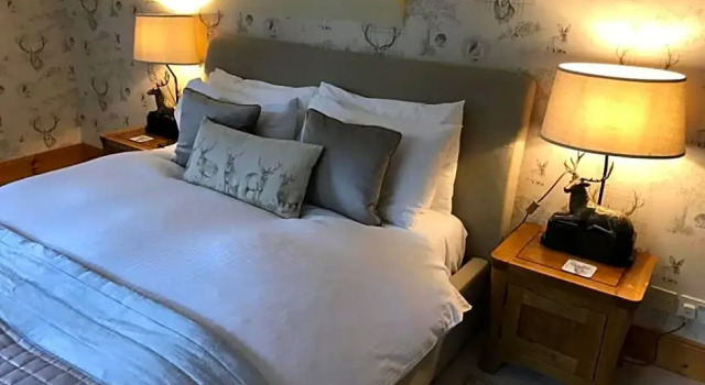 Двухместный люкс Highland Bear Lodge & Woodland Bear Huts