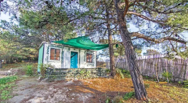 Номер Deluxe Drolma Ling Nature Cabins