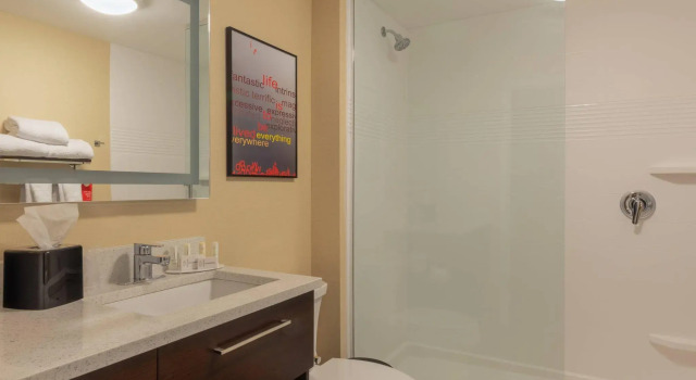 Двухместная студия TownePlace Suites by Marriott Syracuse Clay