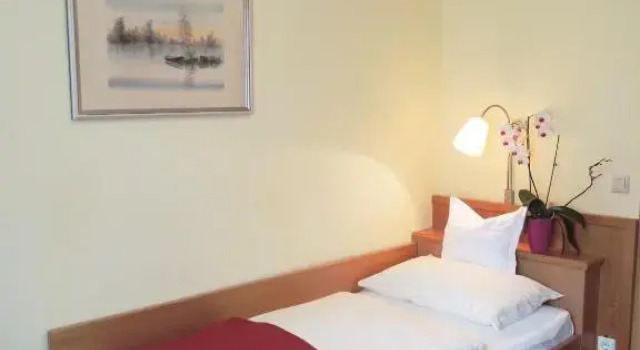 Номер Standard Hotel Binggl