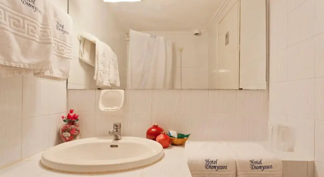 Двухместный номер с частичным видом на море Hotel Dionyssos