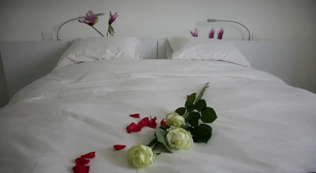 B&B Kanegem Onverbloemd