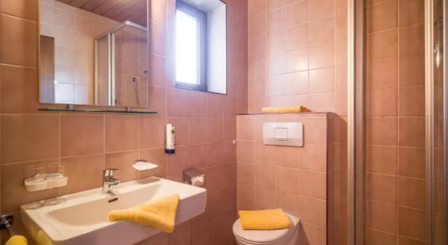 Номер Standard Hotel Landhaus Zillertal