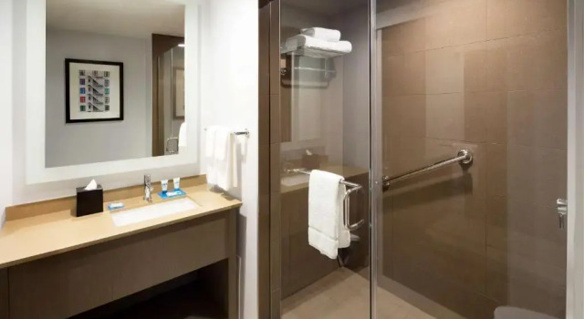 Двухместный люкс c 1 комнатой Hyatt House Dallas / Frisco