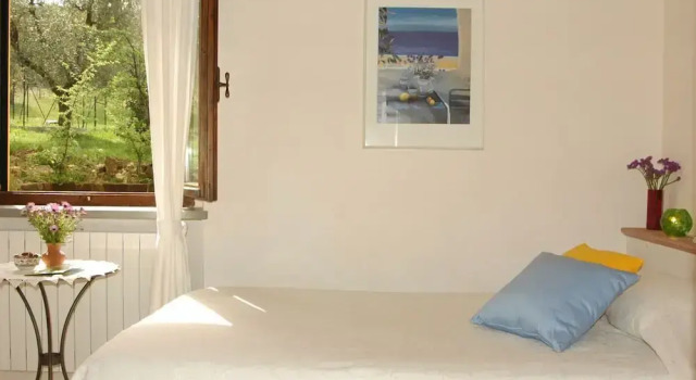 Одноместный номер Standard Agriturismo biologico Bulichella