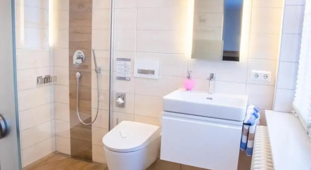 Одноместный номер Economy Gasthof Landhotel Hirsch