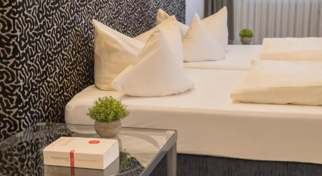Двухместный номер Standard с балконом Hotel Am Kurpark Späth