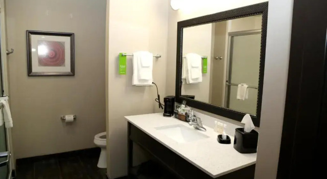 Standard- værelse Quality Inn & Suites Pearsall
