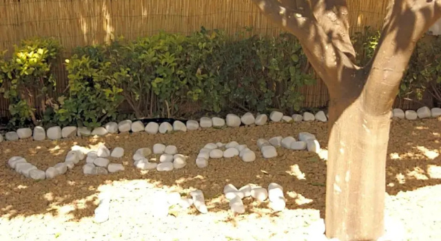 Vegan Inn Airport, Reservar Pousada (com pequeno-almoço) Fiumicino Lazio Coast