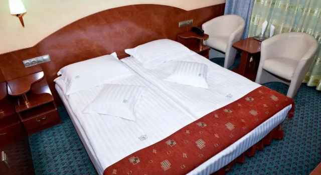 Одноместный номер Standard Hotel Carpati