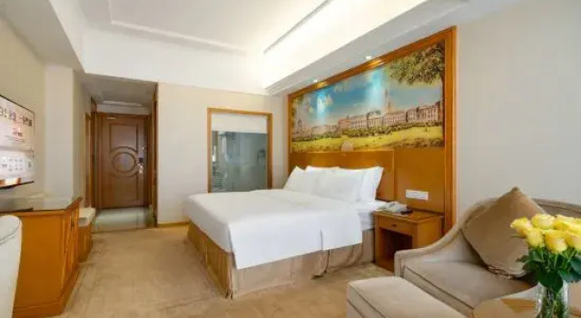 Двухместный номер Deluxe Vienna Hotel Shenzhen Shiyan Bus Station