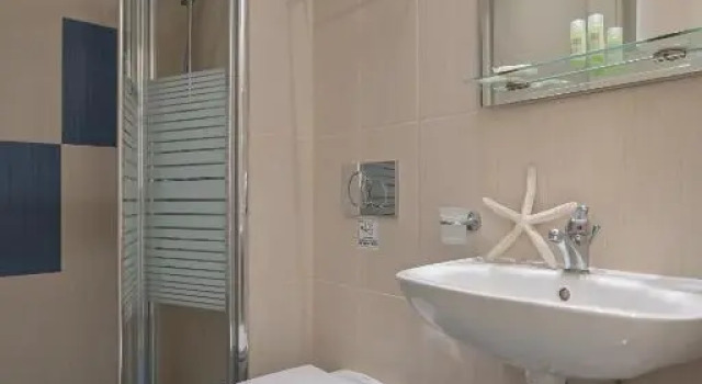 Номер Economy Hotel Zeus