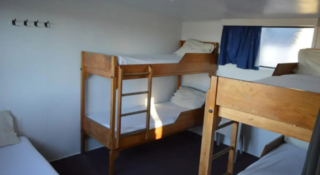 Семейный номер Standard Dunedin Holiday Park