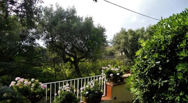 Коттедж villa le olivine