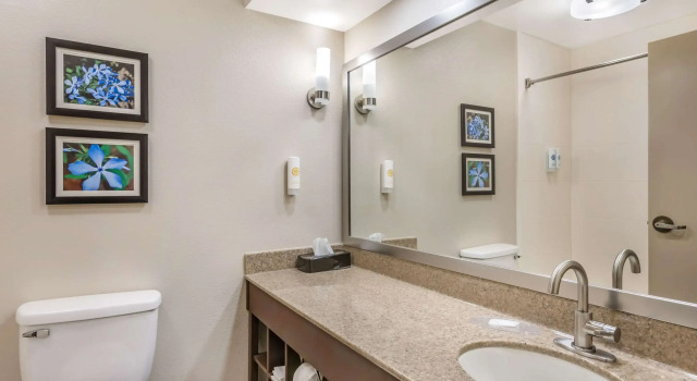 Двухместный люкс Comfort Inn & Suites Conway