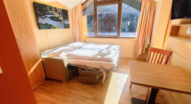 Семейный номер Standard с 2 комнатами JUFA Hotel Grünau im Almtal