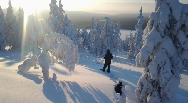 Lucky Ranch cabin 4, Book Hotel Pyhätunturi Lapland