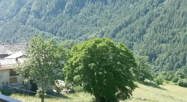 Suite Bertines Panoramica - Borgata di montagna, Boek Hotel Casteldelfino Piemonte