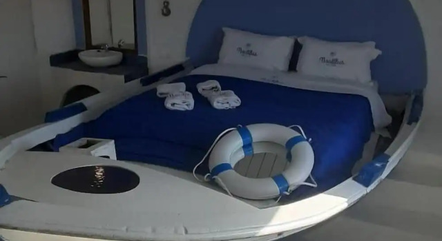 Nautilus