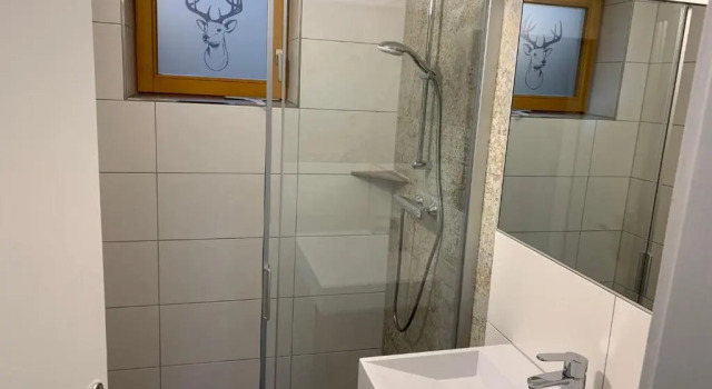 Апартаменты с 2 комнатами Auschlössl Appartements Reiteralm - 5 minutes walk to cablecar