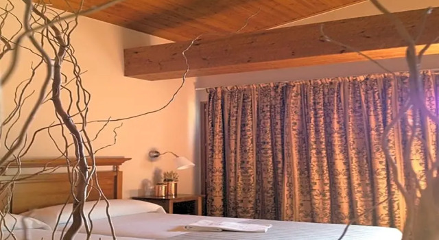 Номер Standard Hotel Xalet Verdú