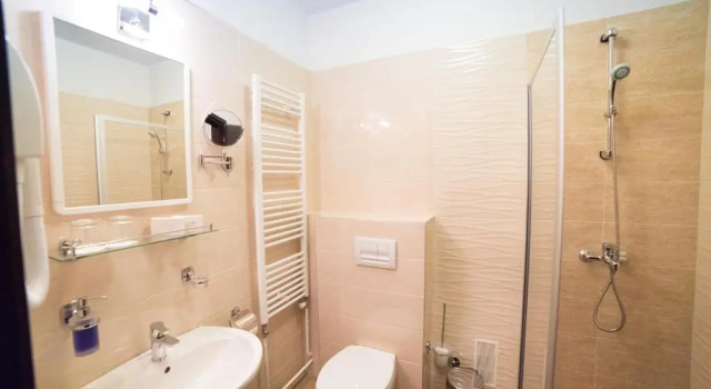 Четырёхместный номер Standard Paviljoni Omorika