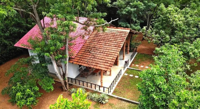 Номер Standard Turtles View Resort