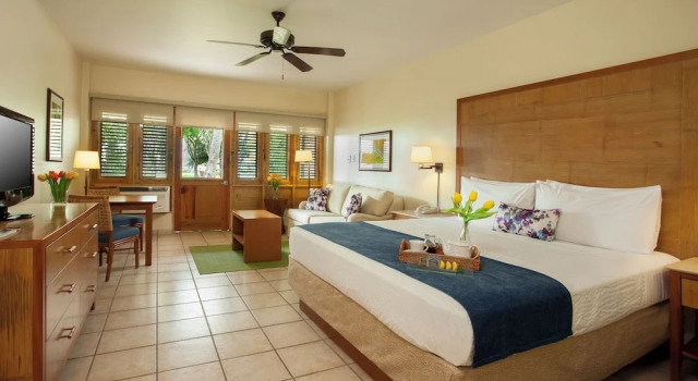 Люкс Copamarina Beach Resort & Spa