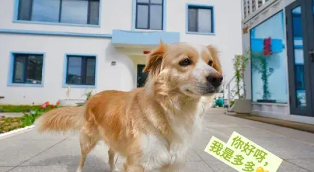 Shi Bei Coast Villa (Jin Beach Seawater Bathing Area Store), Prenota Villa Weihai Shandong