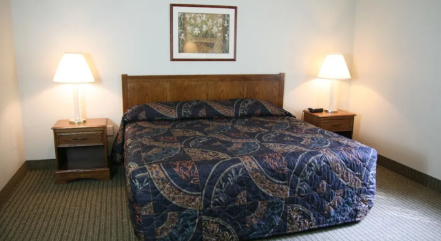 Люкс Standard Affordable Suites Greenville