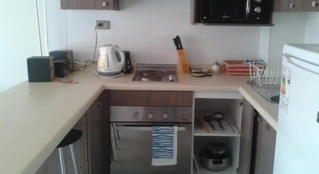 Апартаменты Departamentos Parque Costanera
