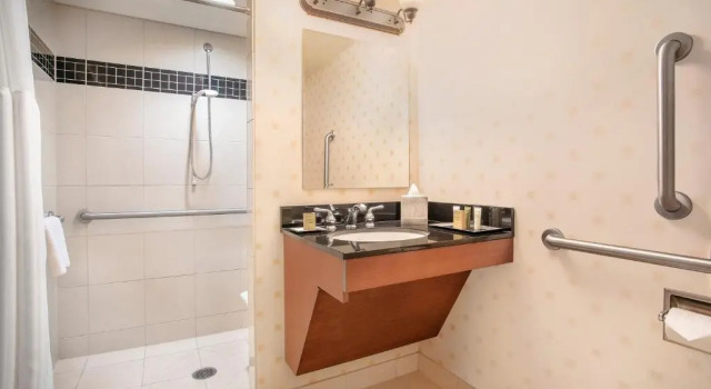 Двухместный номер Mobility/Hearing Accessible with Roll In Shower Hilton Chicago OHare Airport