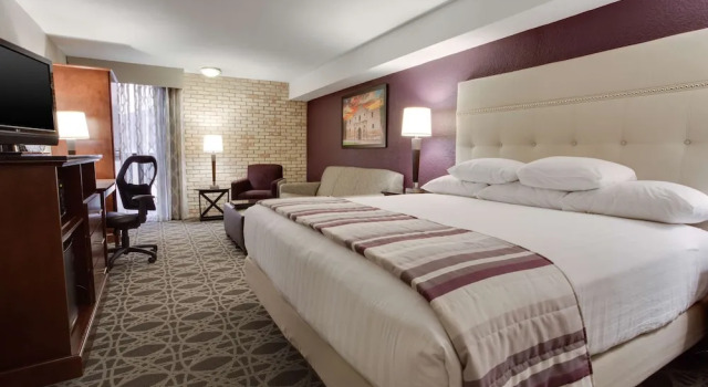 Номер Standard Drury Plaza Hotel San Antonio Airport