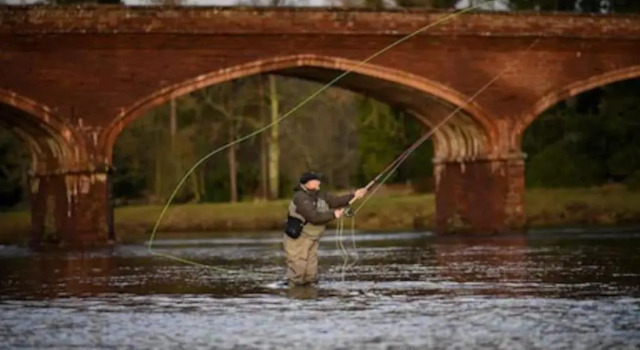 Pinewood Cotage - Country Walks and Relaxation, Book Hotel Blairgowrie and Rattray Perthshire