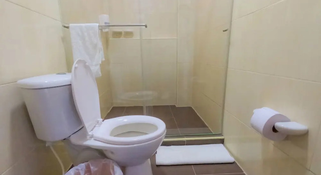 Трёхместный номер Standard с видом на бассейн Hotel Caribbean Coral