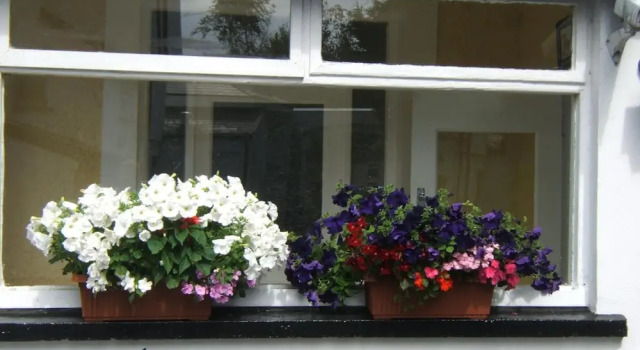 Faythe Guesthouse, Buchen Sie Hotel Wexford Wexford County