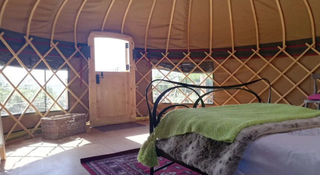 Looe Yurts