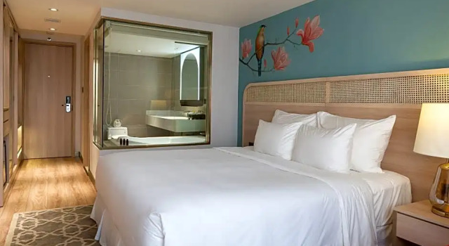Двухместный номер Deluxe с видом на город Hanoi Le Jardin Hotel & Spa