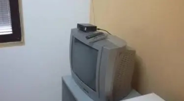 Vila Konj, Buchen Sie Hotel Zaječar Zentralserbien