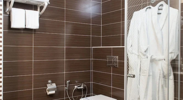 Номер Standard Green Park Hotel & SPA