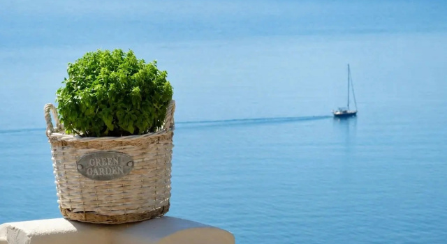 Полулюкс c 1 комнатой Blue Horizon Suites