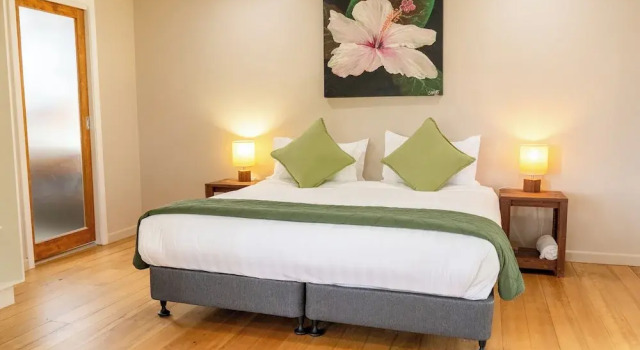 Deluxe villa 1 chambre avec balcon Broad Leaf Villas