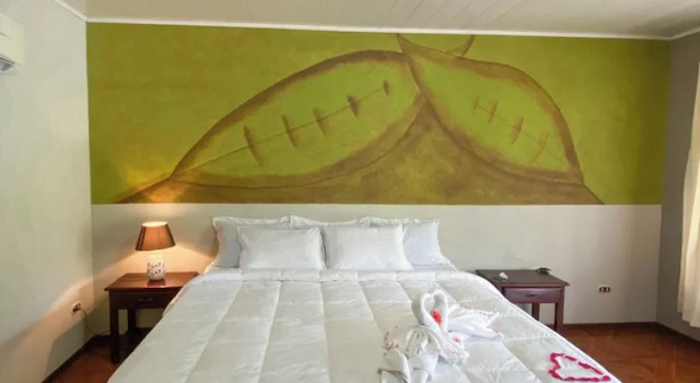 Номер Standard Sueno Dorado Hot Springs Hotel