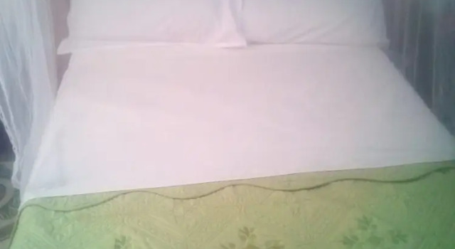 Номер Standard Roots Resort
