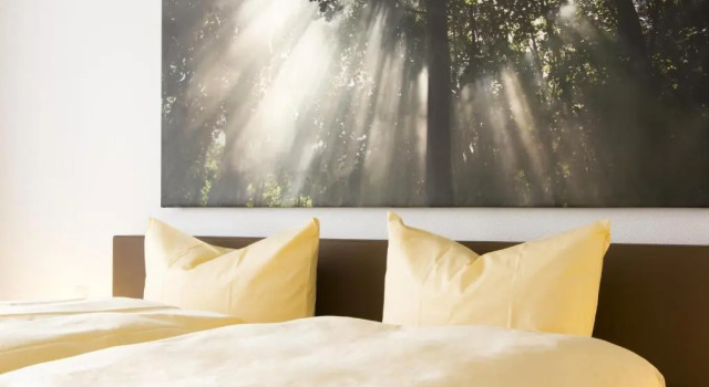 Двухместный номер Standard Fritz Hotel & Restaurant KG