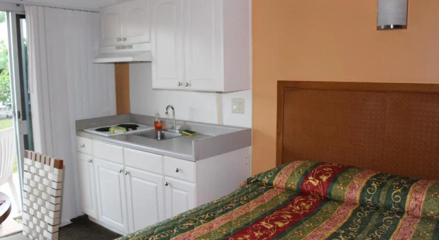 Номер Standard Warm Mineral Springs Motel